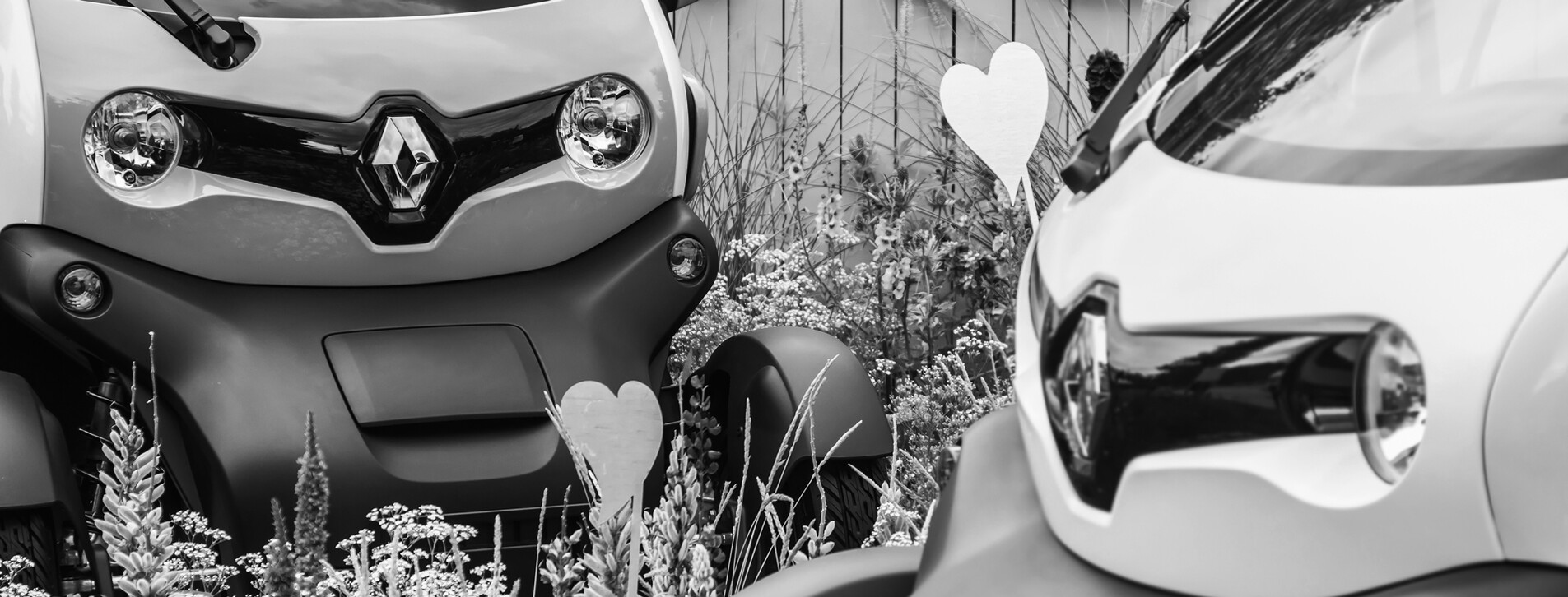 Fotoğraf 1 - Arkadaş Grubu için Üç Ayrı Twizy Araçla Istanbul Turu