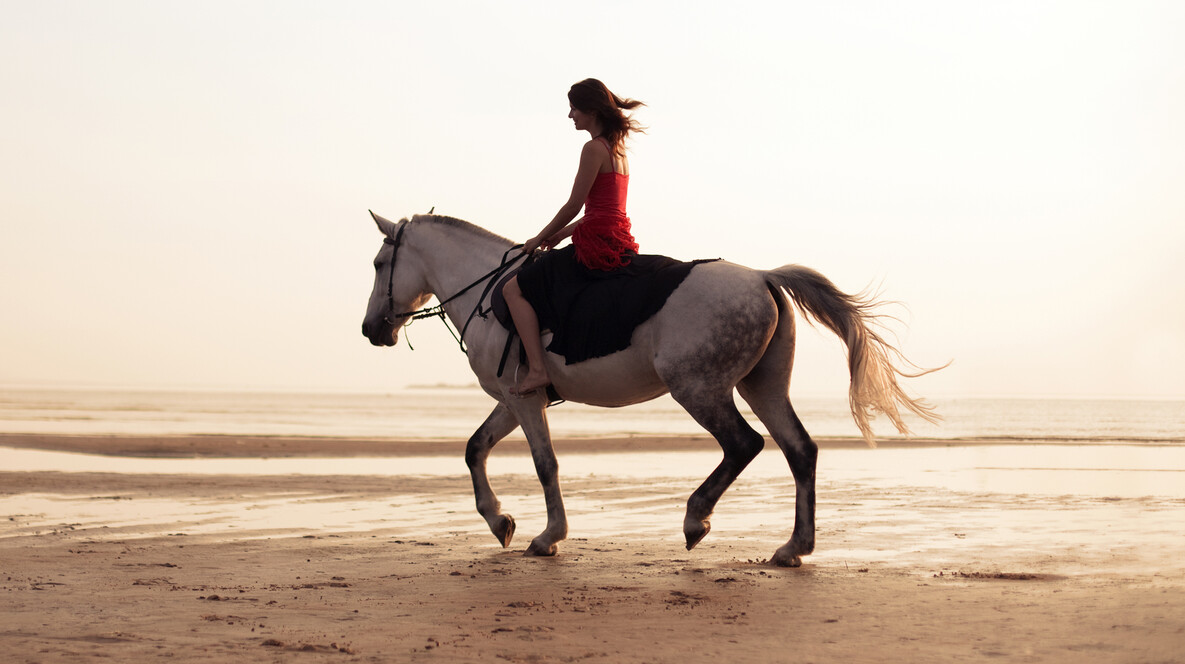 Kumsalda At Gezisi Sporculara Hediyeler - Kumsalda At Gezisi