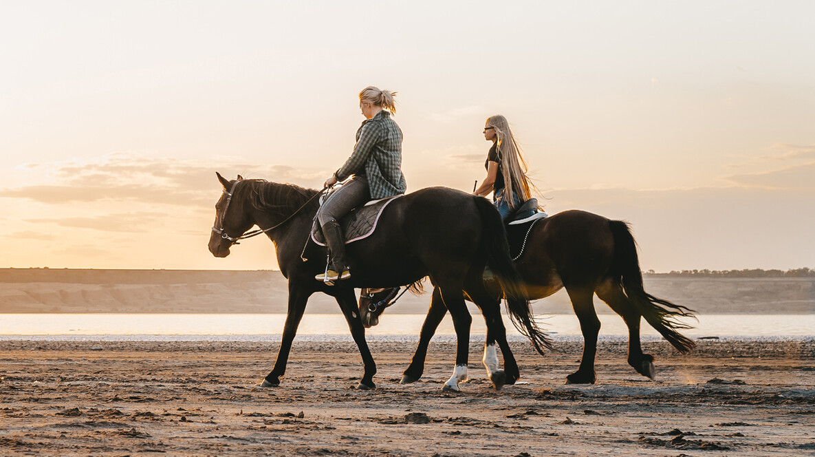 İki Kişi için Kumsalda At Gezisi Bekarlığa Veda Hediyeleri - İki Kişi için Kumsalda At Gezisi