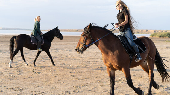 Aile için Kumsalda At Gezisi Aile için Kumsalda At Gezisi