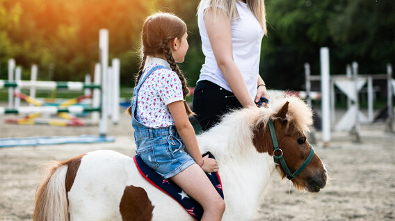 İki Çocuk için Pony Binicilik Dersi 35 yaş doğum günü hediyesi - İki Çocuk için Pony Binicilik Dersi