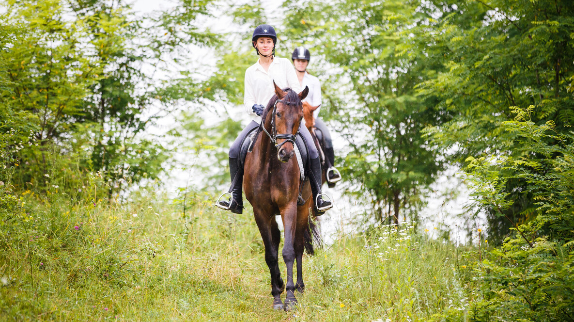 İstanbul'da İki Kişi için Ormanda At Gezisi Romantik Hediyeler Muğla'da - İstanbul'da İki Kişi için Ormanda At Gezisi