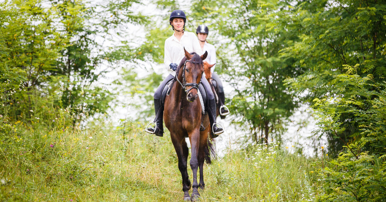 İstanbul'da İki Kişi için Ormanda At Gezisi - 12 Fotoğraf 12 - İstanbul'da İki Kişi için Ormanda At Gezisi