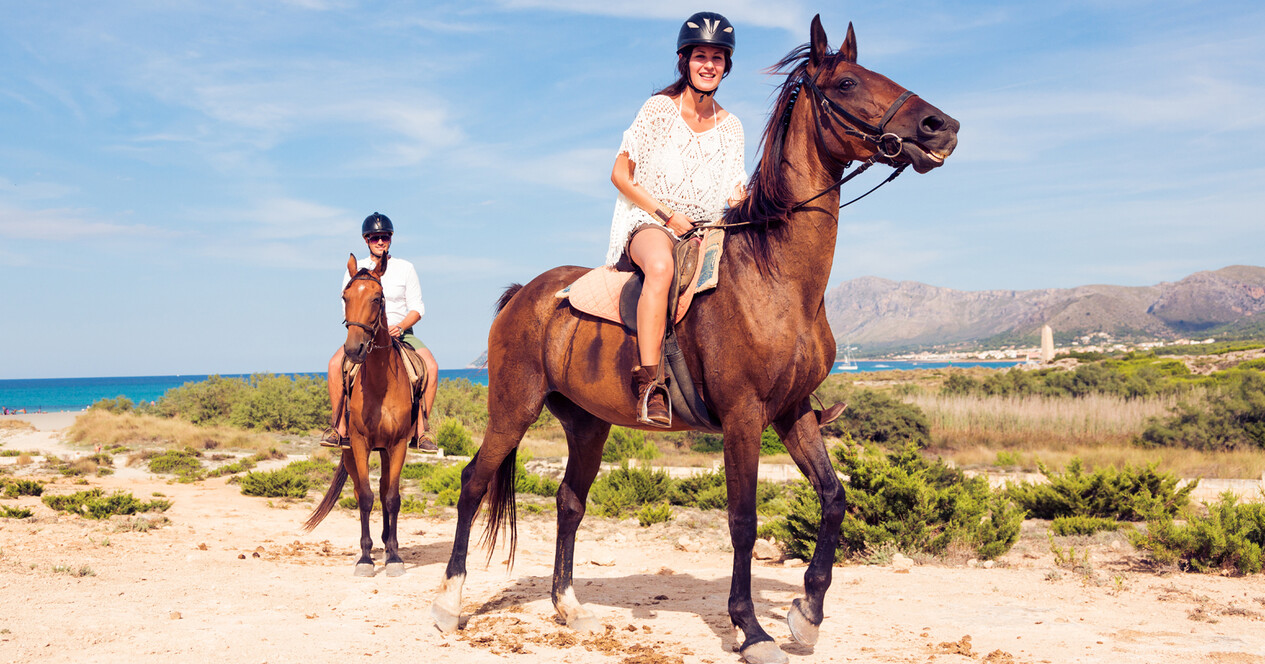 İstanbul'da İki Kişi için Kumsalda At Gezisi - 12 Fotoğraf 12 - İstanbul'da İki Kişi için Kumsalda At Gezisi
