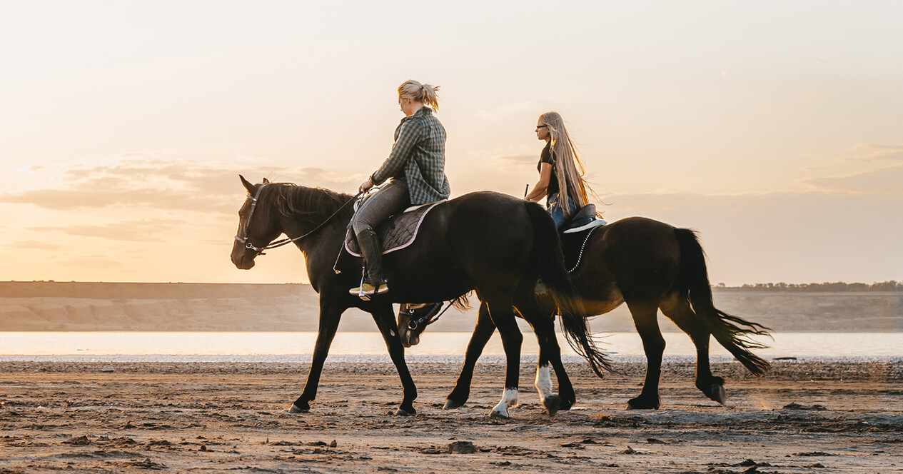 İstanbul'da İki Kişi için Kumsalda At Gezisi - 12 Fotoğraf 12 - İstanbul'da İki Kişi için Kumsalda At Gezisi