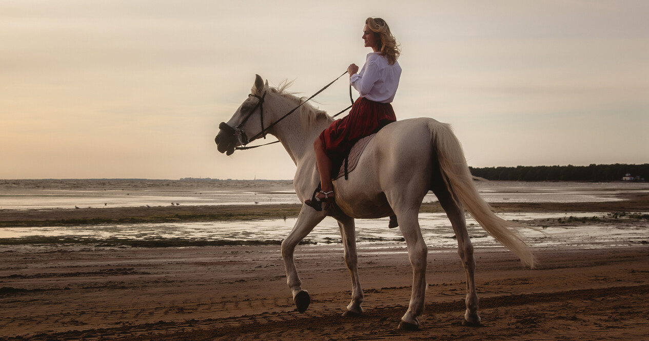 İstanbul'da Aile için Kumsalda At Gezisi - 12 Fotoğraf 12 - İstanbul'da Aile için Kumsalda At Gezisi
