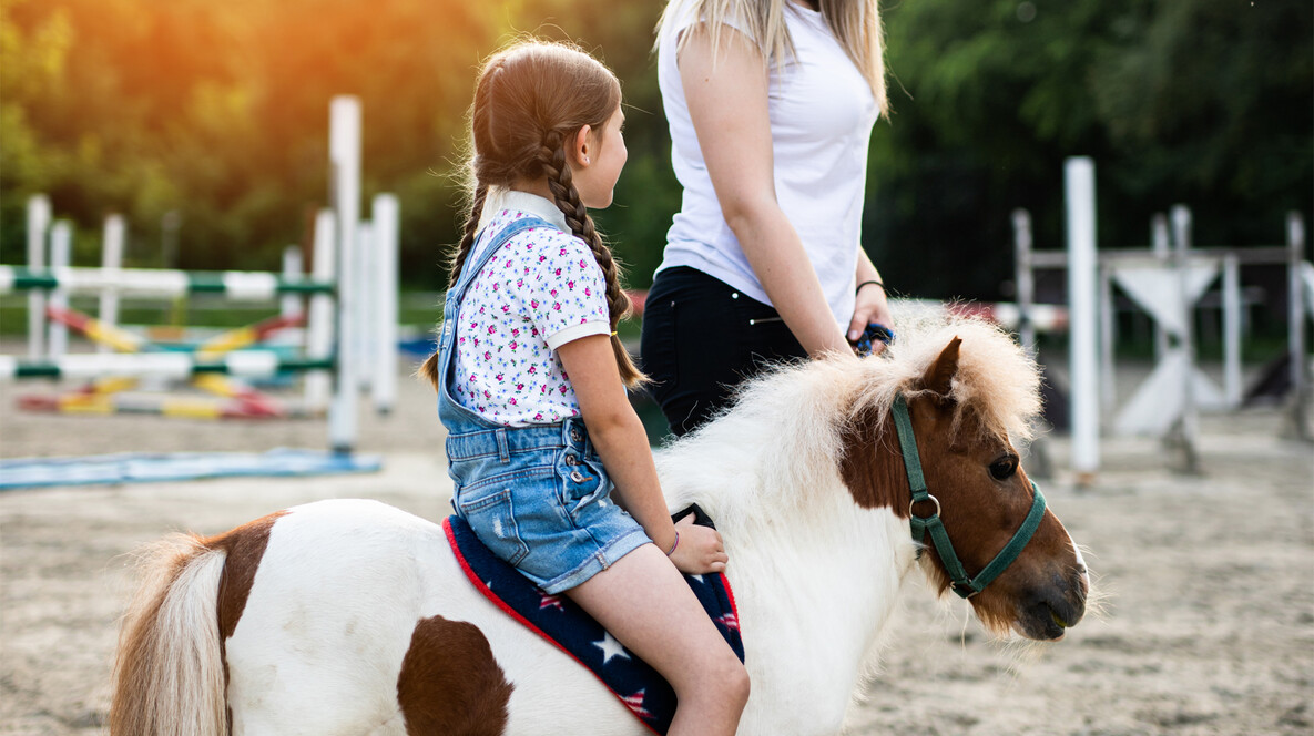 İstanbul'da İki Çocuk için Pony Binicilik Dersi İstanbul'da İki Çocuk için Pony Binicilik Dersi