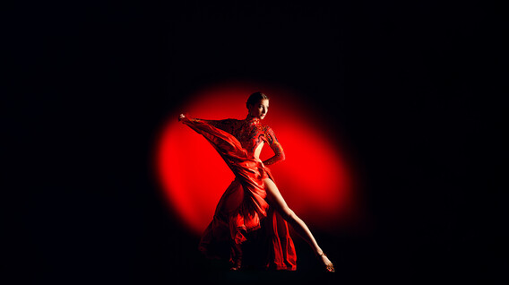 Özel Latin Dansı Dersi Özel Latin Dansı Dersi