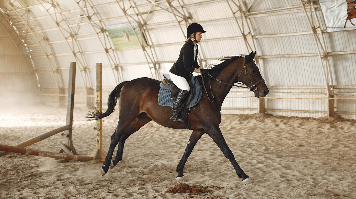 İki kişi için Binicilik Dersi Çiftlere Hediyeler Bursa'da - İki kişi için Binicilik Dersi