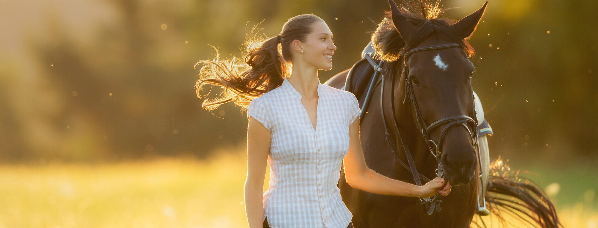 Fotoğraf 1 - Ormanda At Gezisi