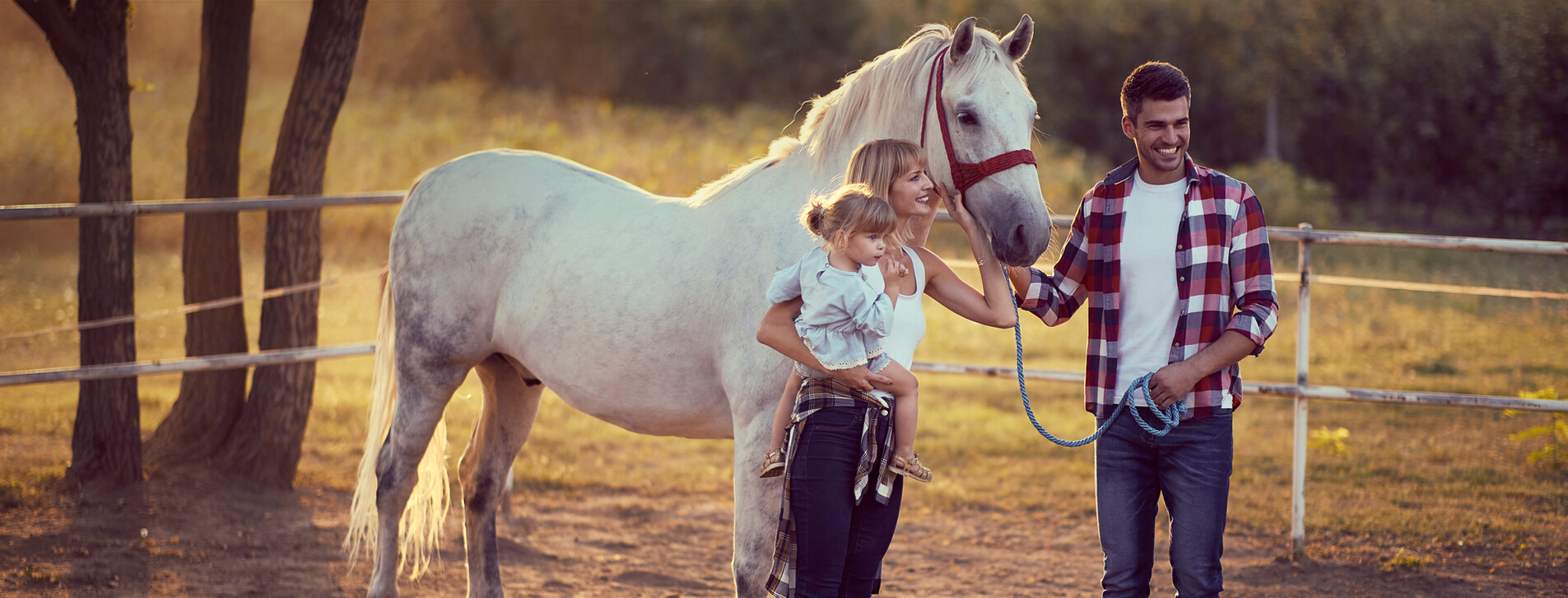 Fotoğraf 1 - Arkadaş Grubu için Ormanda At Gezisi