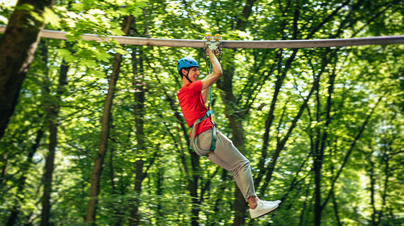 Arkadaş Grubu İçin Zip Roler Coaster Yunus Akvaryumu Bursa'da - Arkadaş Grubu İçin Zip Roler Coaster
