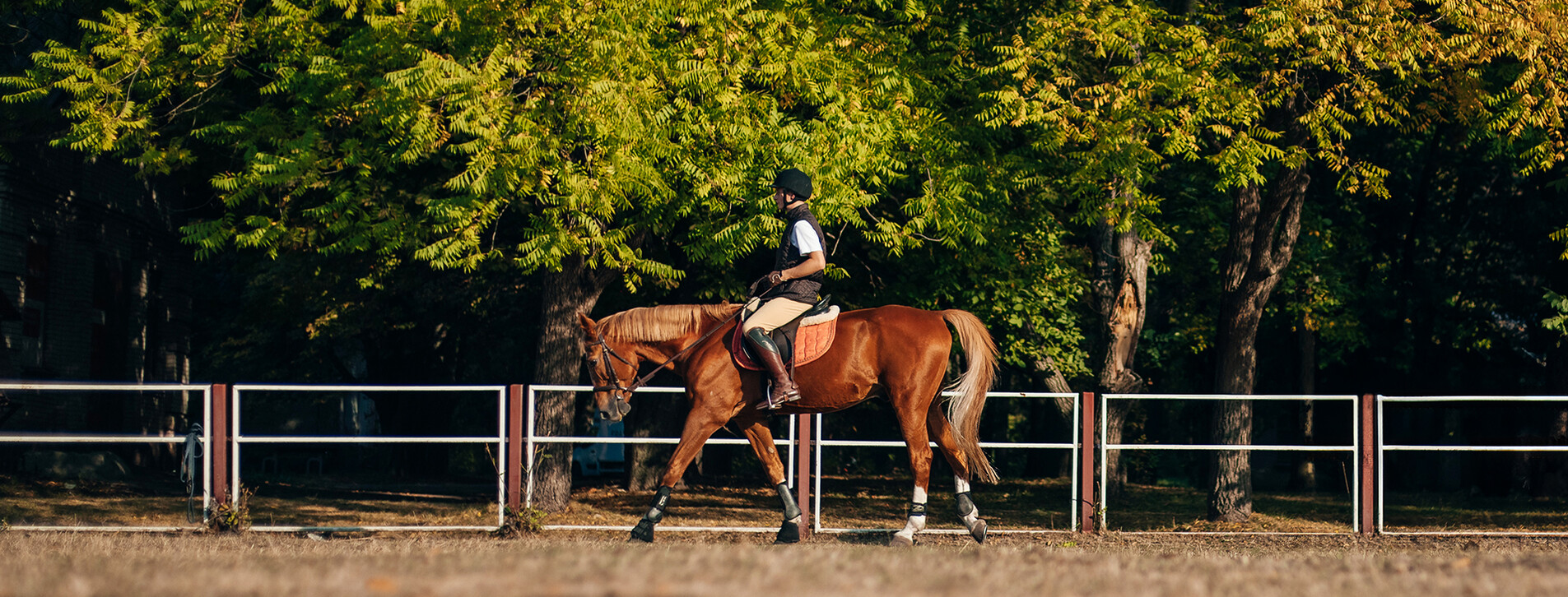 Fotoğraf 1 - Binicilik Kursu