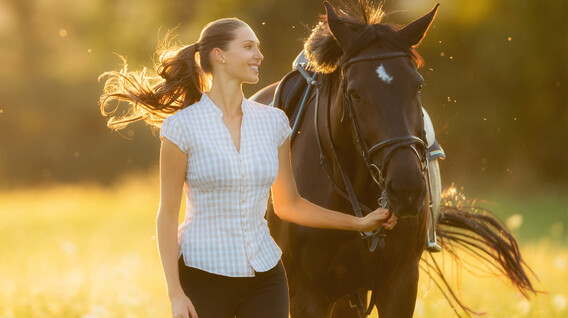 Ormanda At Gezisi Ormanda At Gezisi
