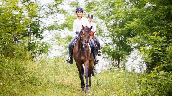 İki Kişi için Ormanda At Gezisi İki Kişi için Ormanda At Gezisi