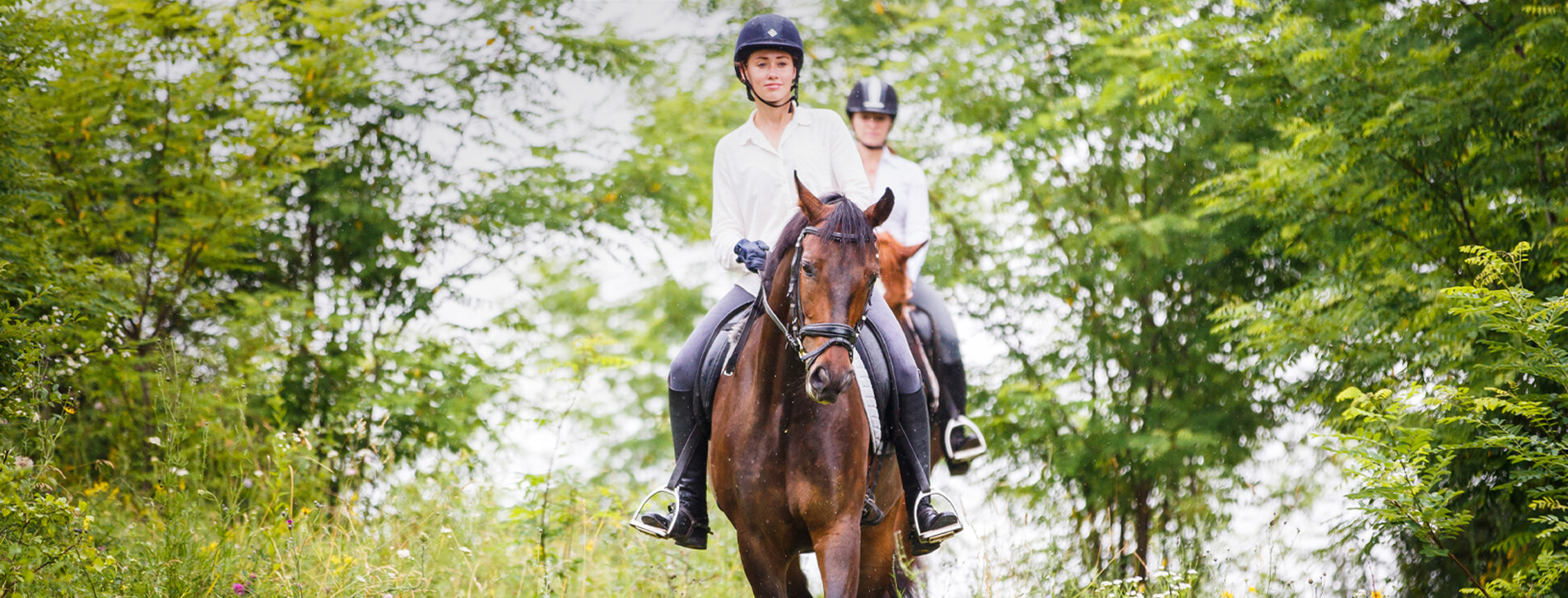Fotoğraf 1 - İki Kişi için Ormanda At Gezisi