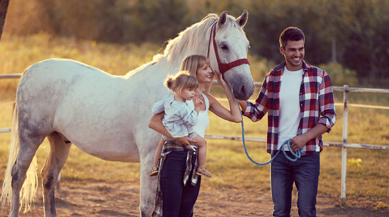 Aile için Ormanda At Gezisi Aile için Ormanda At Gezisi