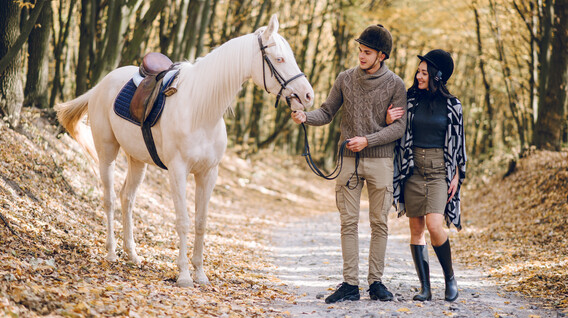 Aile için Ormanda At Gezisi Aile için Ormanda At Gezisi