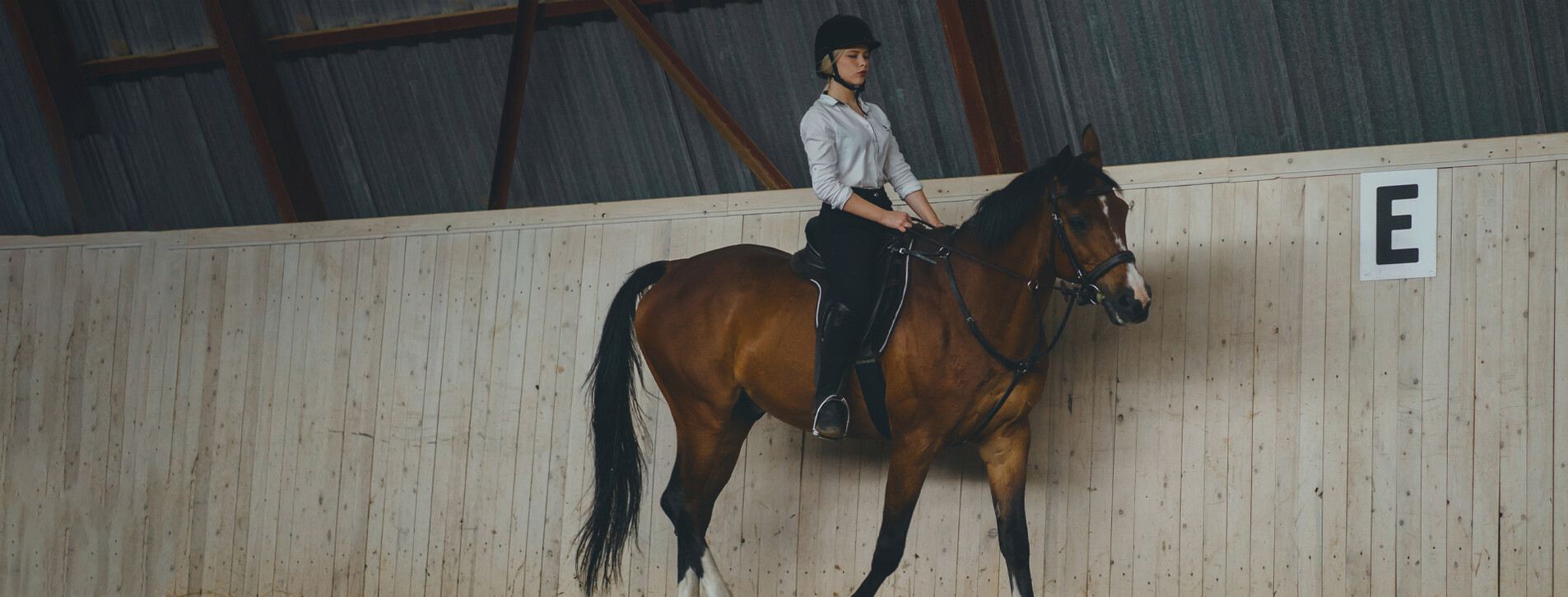 Fotoğraf 1 - Binicilik Dersi