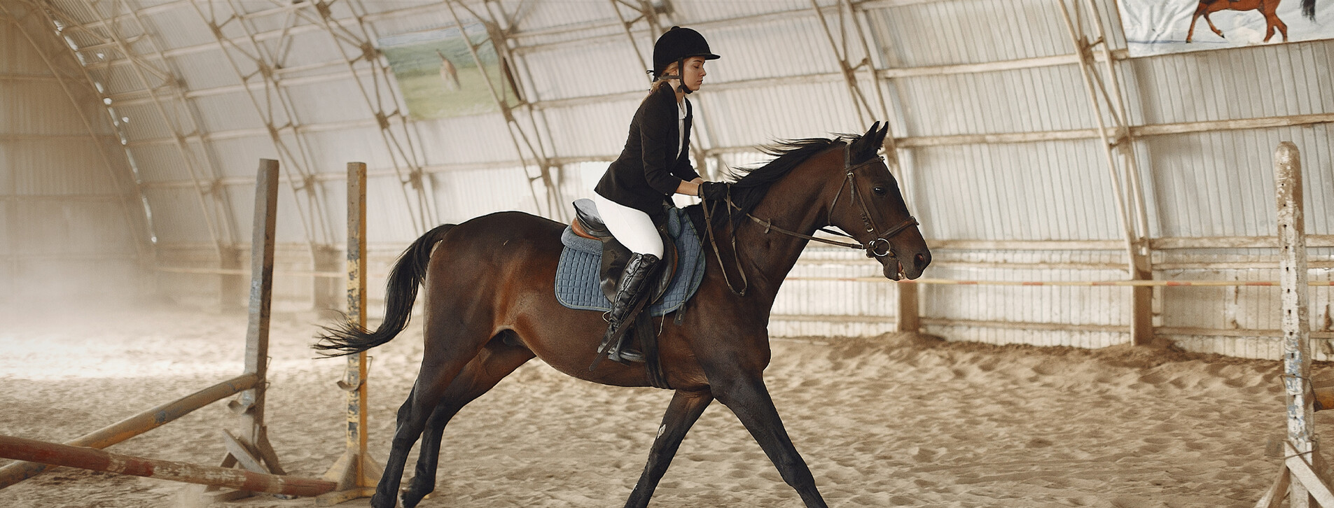 Fotoğraf 1 - İki kişi için Binicilik Dersi