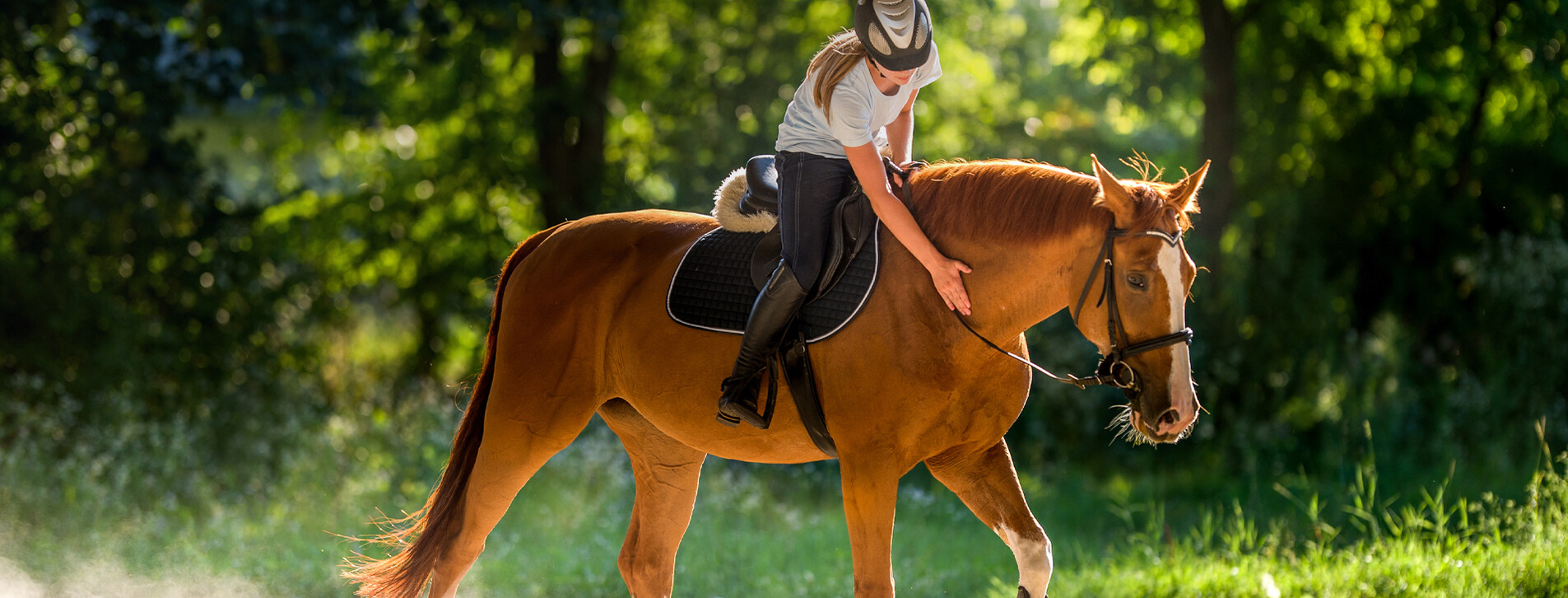 Fotoğraf 1 - Binicilik Kursu