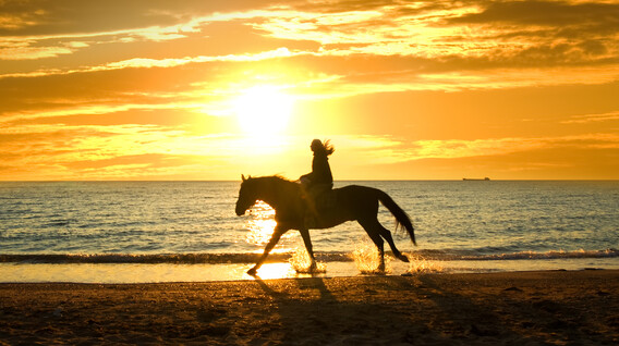 Gün Doğumunda Kumsalda At Gezisi Gün Doğumunda Kumsalda At Gezisi