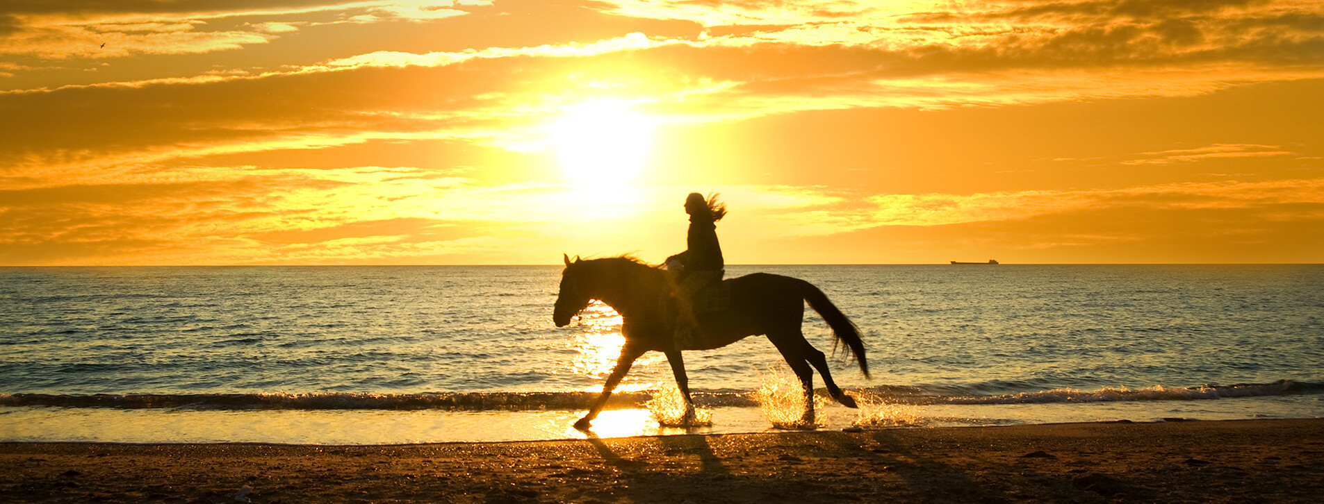 Fotoğraf 1 - Gün Doğumunda Kumsalda At Gezisi