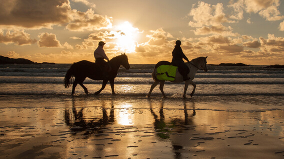 İki Kişi için Gün Doğumunda Kumsalda At Gezisi İki Kişi için Gün Doğumunda Kumsalda At Gezisi