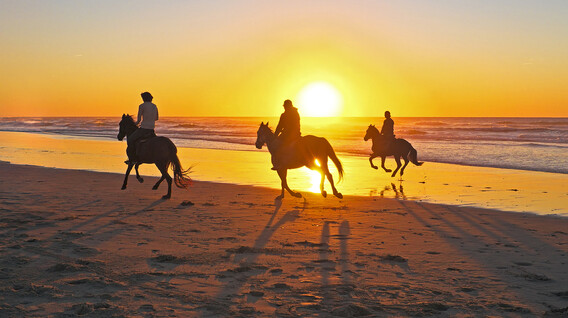 Aile için Gün Doğumunda Kumsalda At Gezisi Aile için Gün Doğumunda Kumsalda At Gezisi