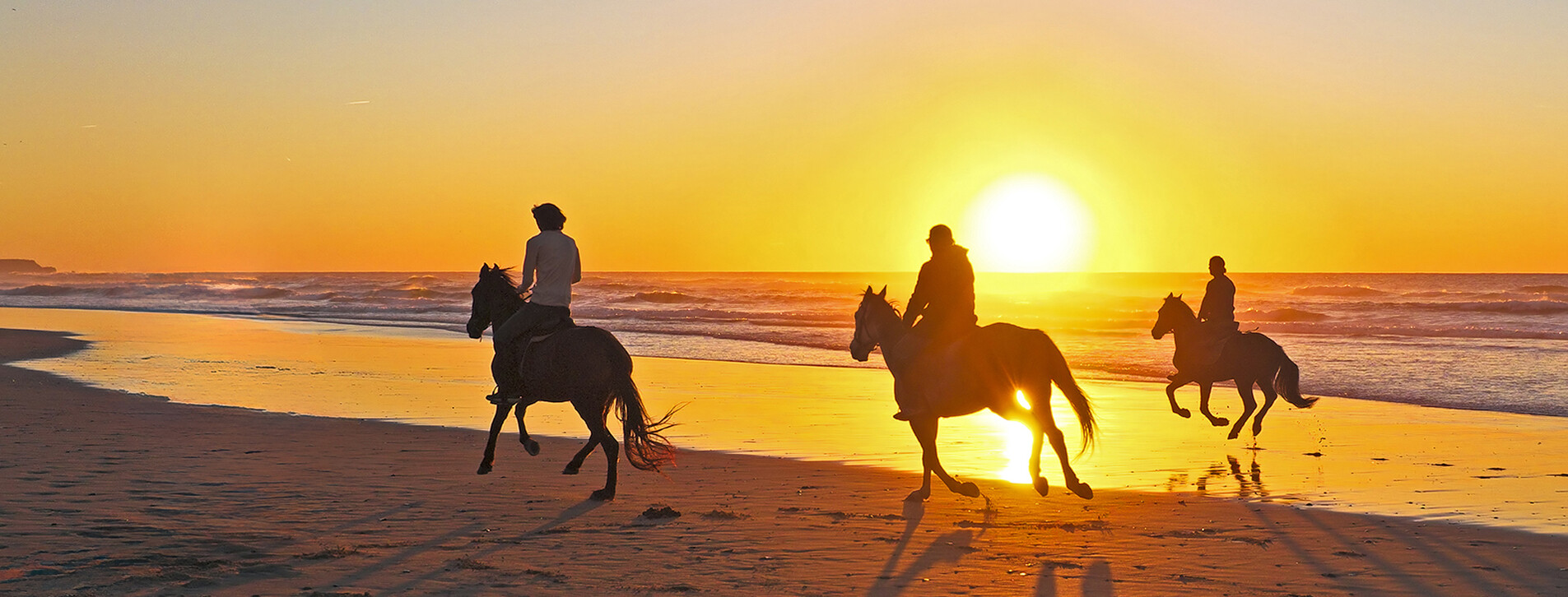 Fotoğraf 1 - Aile için Gün Doğumunda Kumsalda At Gezisi