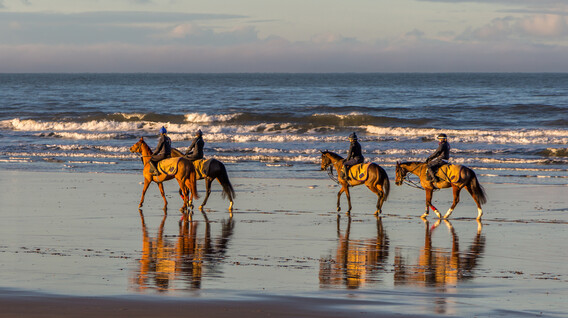 Aile için Gün Doğumunda Kumsalda At Gezisi Antalya'da deneyim hediyeleri internet mağazası - Aile için Gün Doğumunda Kumsalda At Gezisi
