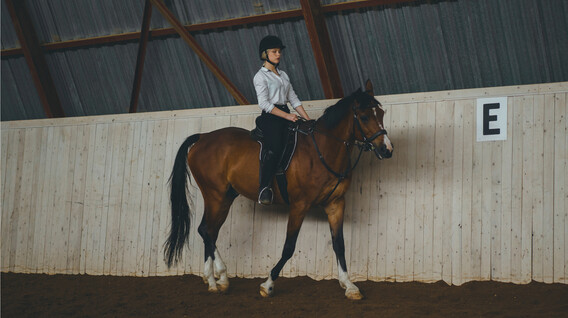 Binicilik Dersi Binicilik Dersi