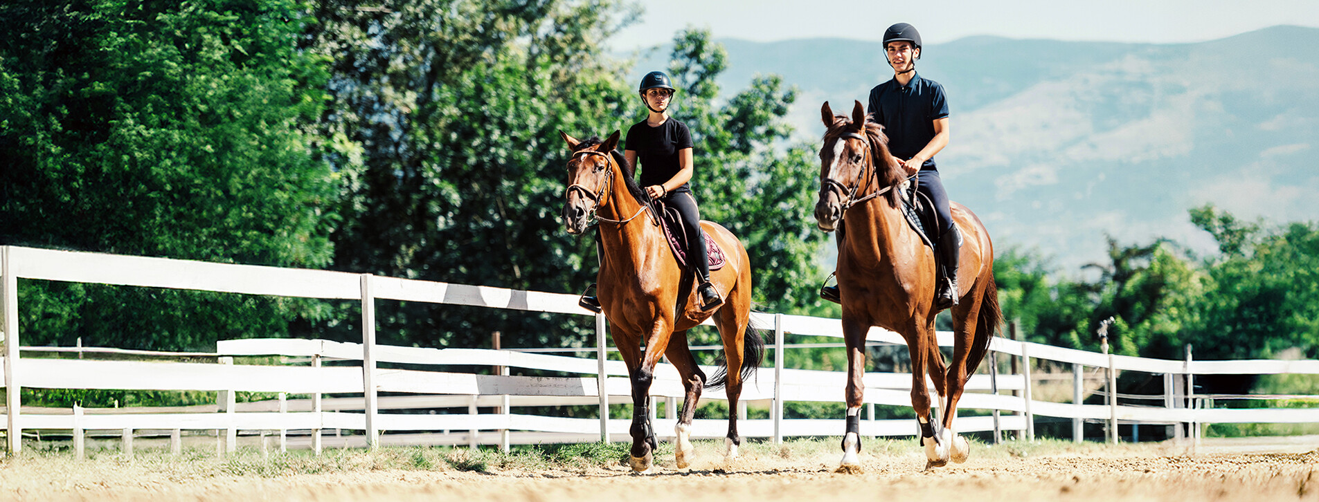 Fotoğraf 1 - İki Kişi için Binicilik Dersi