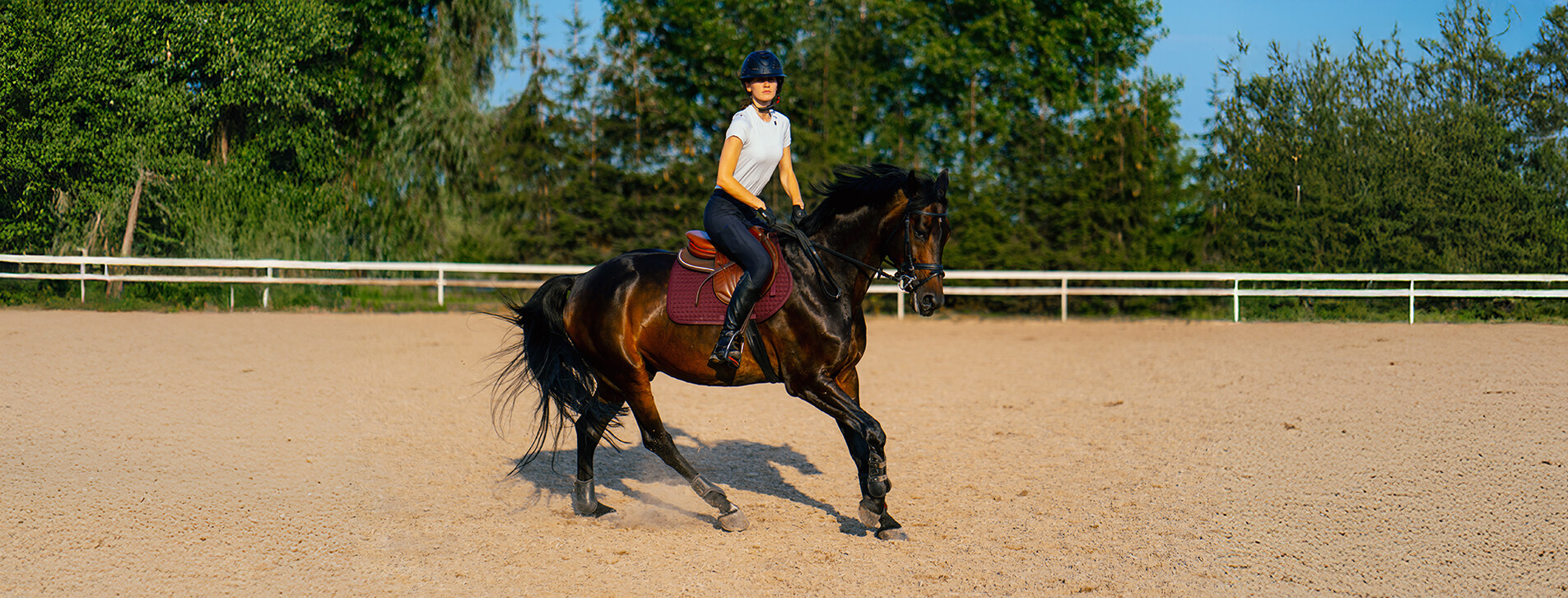Fotoğraf 1 - Binicilik Dersi