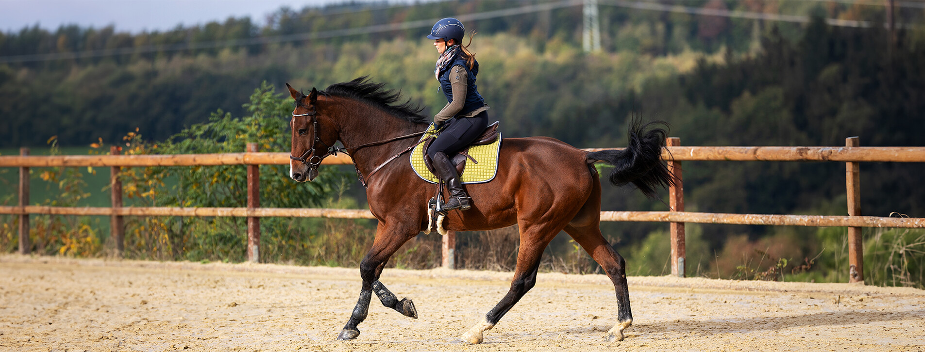 Fotoğraf 1 - Binicilik Kursu