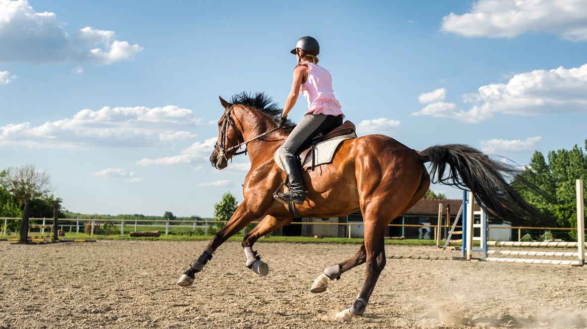 Binicilik Kursu Kız arkadaşa doğum günü hediyesi Ankara'da - Binicilik Kursu