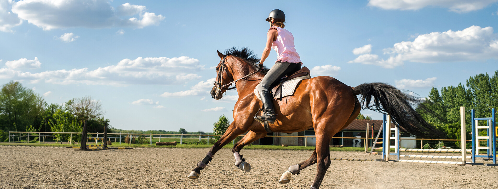 Fotoğraf 1 - Binicilik Kursu