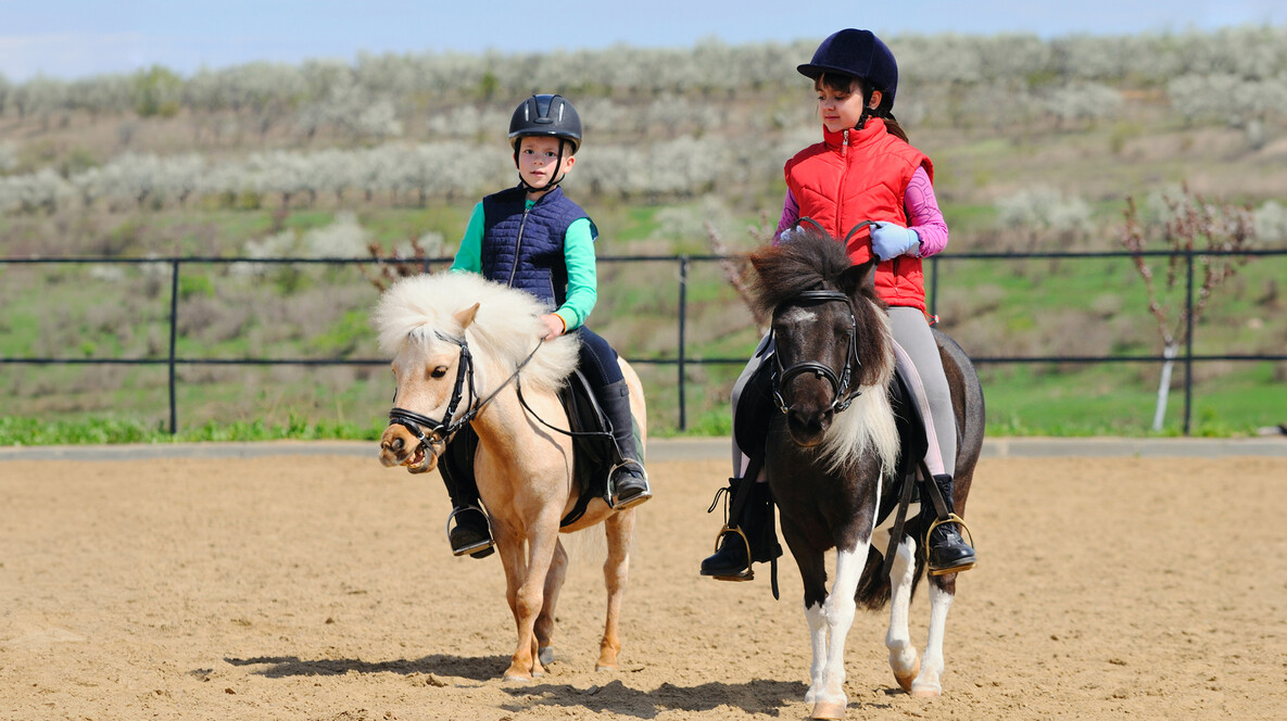 İki Çocuk için Pony Binicilik Dersi Sporculara Hediyeler Ankara'da - İki Çocuk için Pony Binicilik Dersi