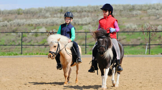 İki Çocuk için Pony Binicilik Dersi İki Çocuk için Pony Binicilik Dersi
