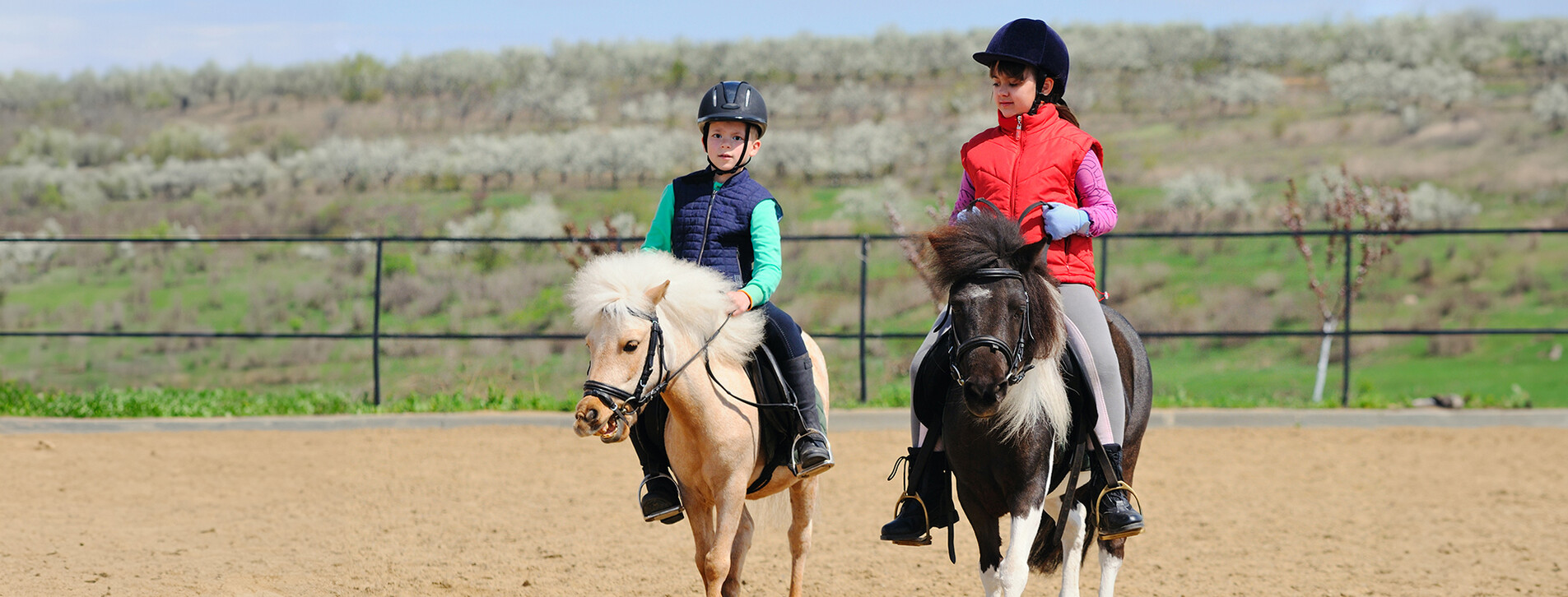 Fotoğraf 1 - İki Çocuk için Pony Binicilik Dersi