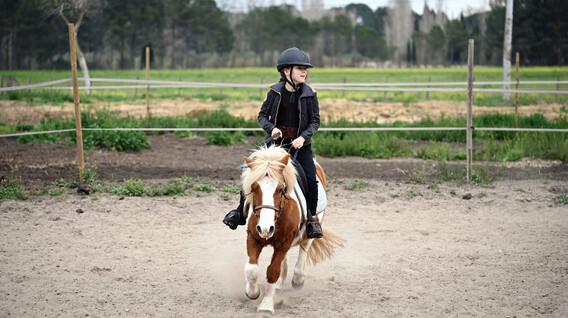 Pony Binicilik Kursu Pony Binicilik Kursu