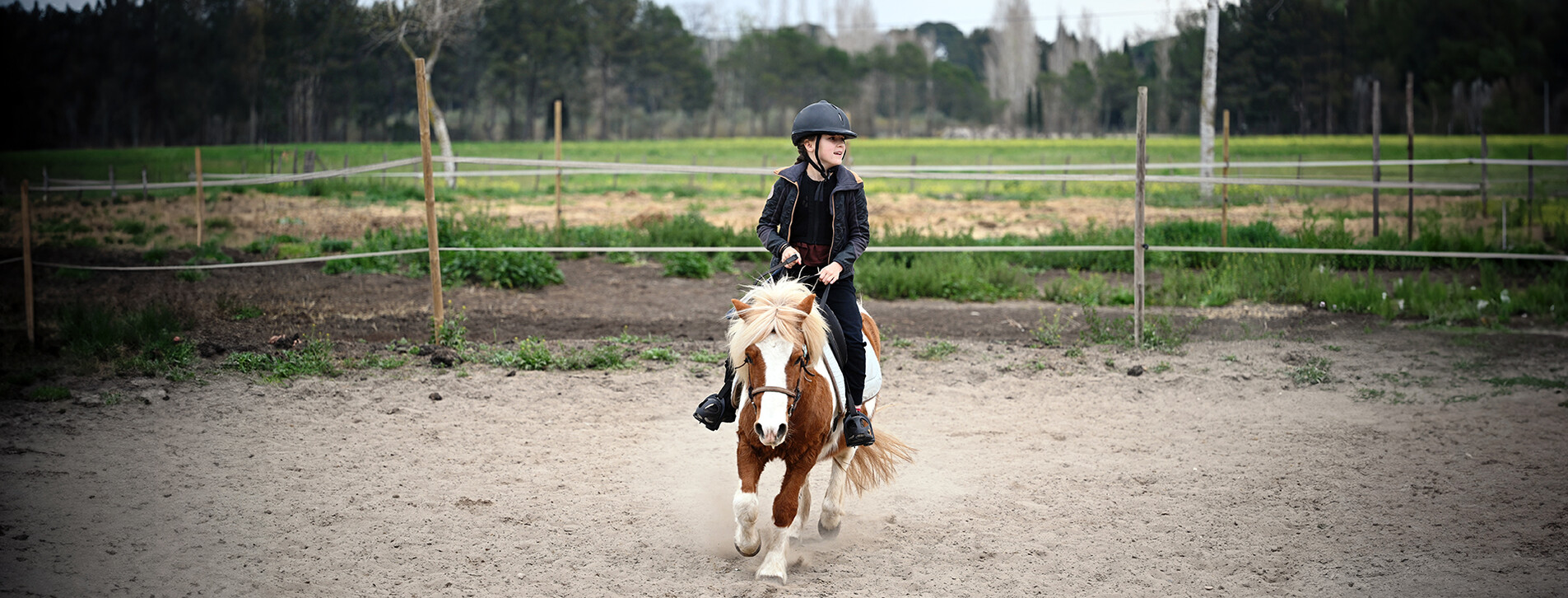 Fotoğraf 1 - Pony Binicilik Kursu