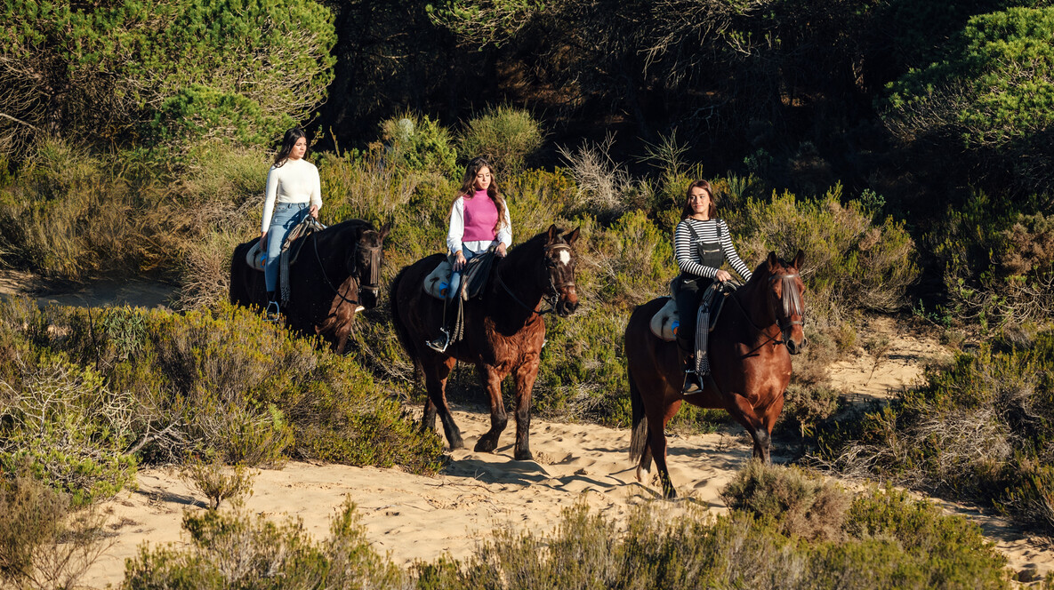 Aile için Atlı Safari Aile için Atlı Safari