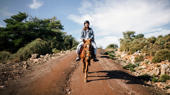 Atlı Safari Atlı Safari