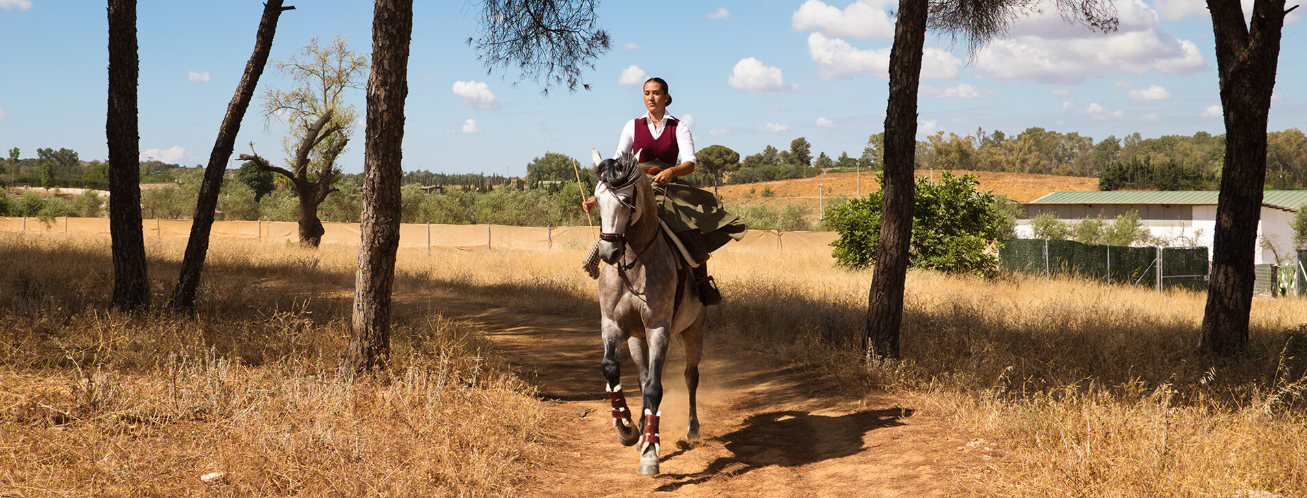 Fotoğraf 1 - Atlı Safari