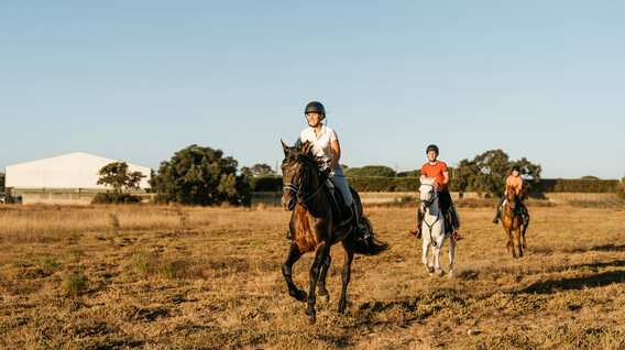 Aile için Atlı Safari Aile için Atlı Safari