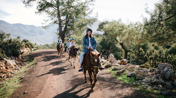 Aile için Atlı Safari Aile için Atlı Safari