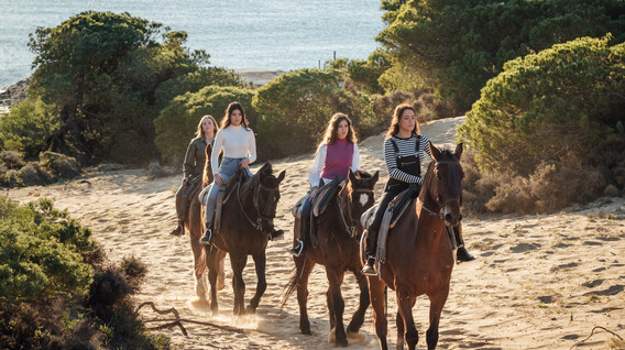 Aile için Atlı Safari Evlilik Yıldönümü Hediyeleri İzmir'de - Aile için Atlı Safari