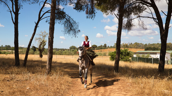 Atlı Safari Aktivite Tekirdağ'da - Atlı Safari