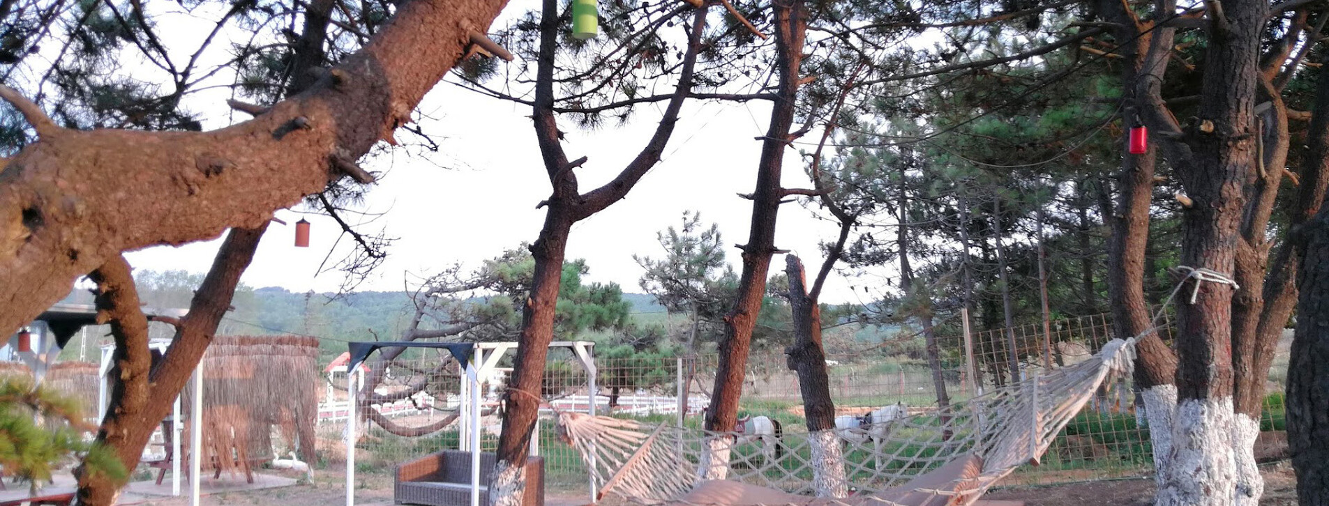 İki Kişi için Kumsalda At Gezisi - 7 Fotoğraf 7 - İki Kişi için Kumsalda At Gezisi